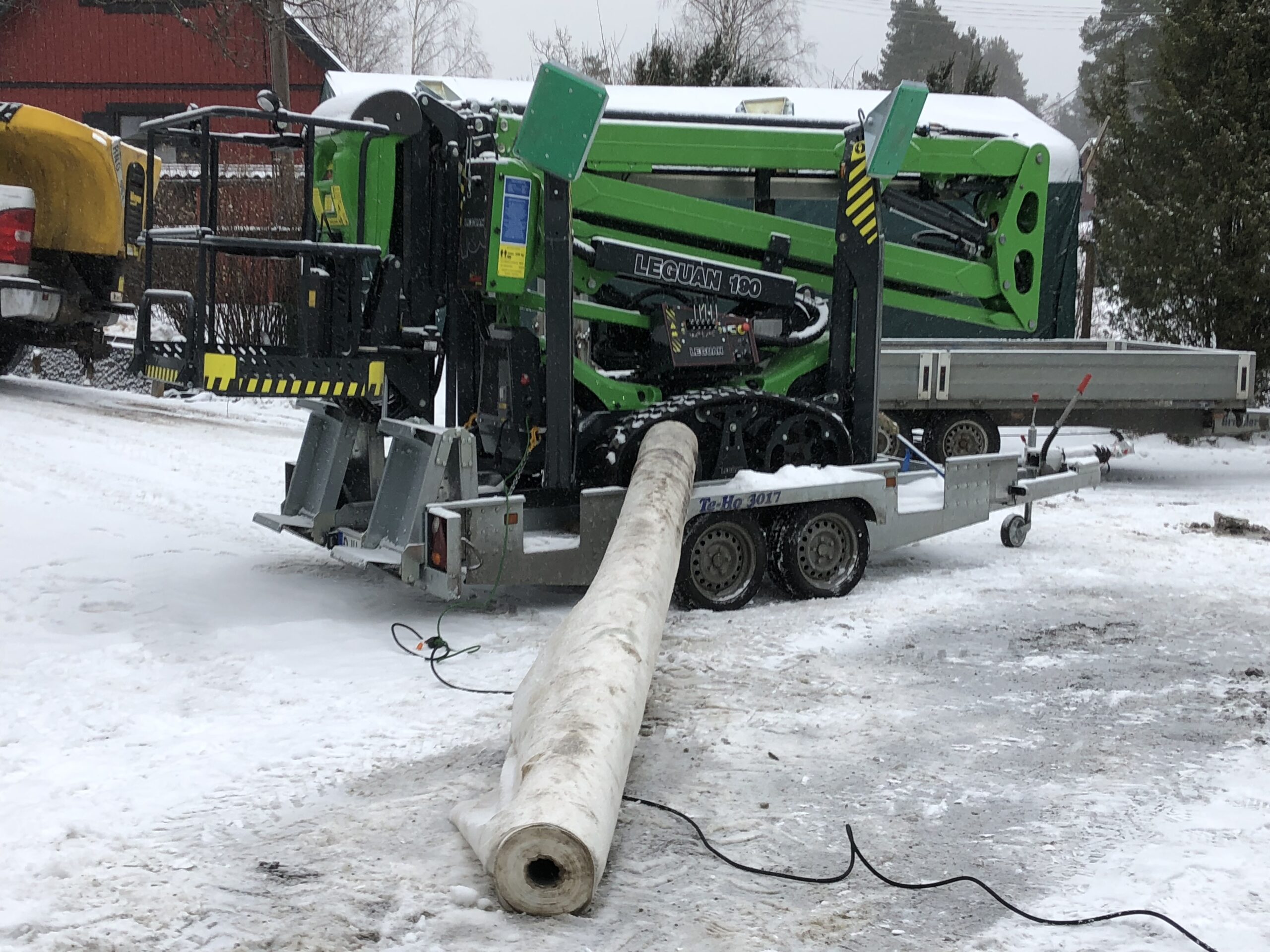 Trädfällning